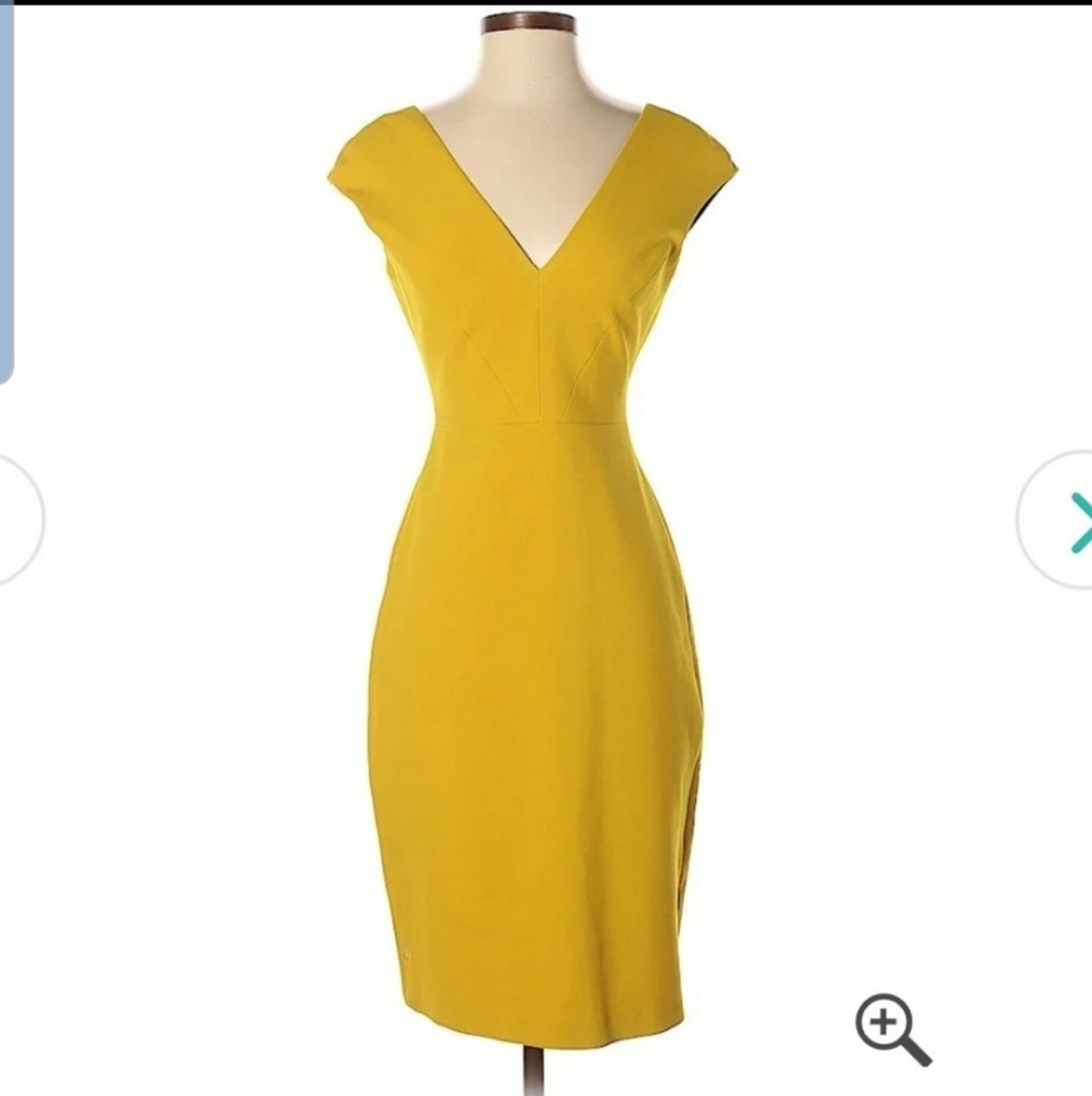 Zara dress